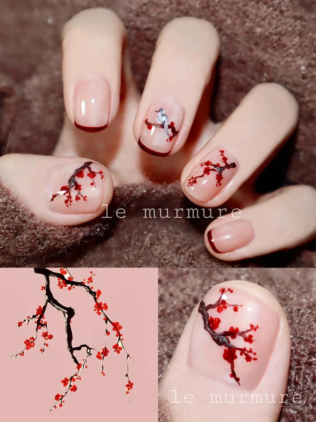 Photo/小紅書@le murmure