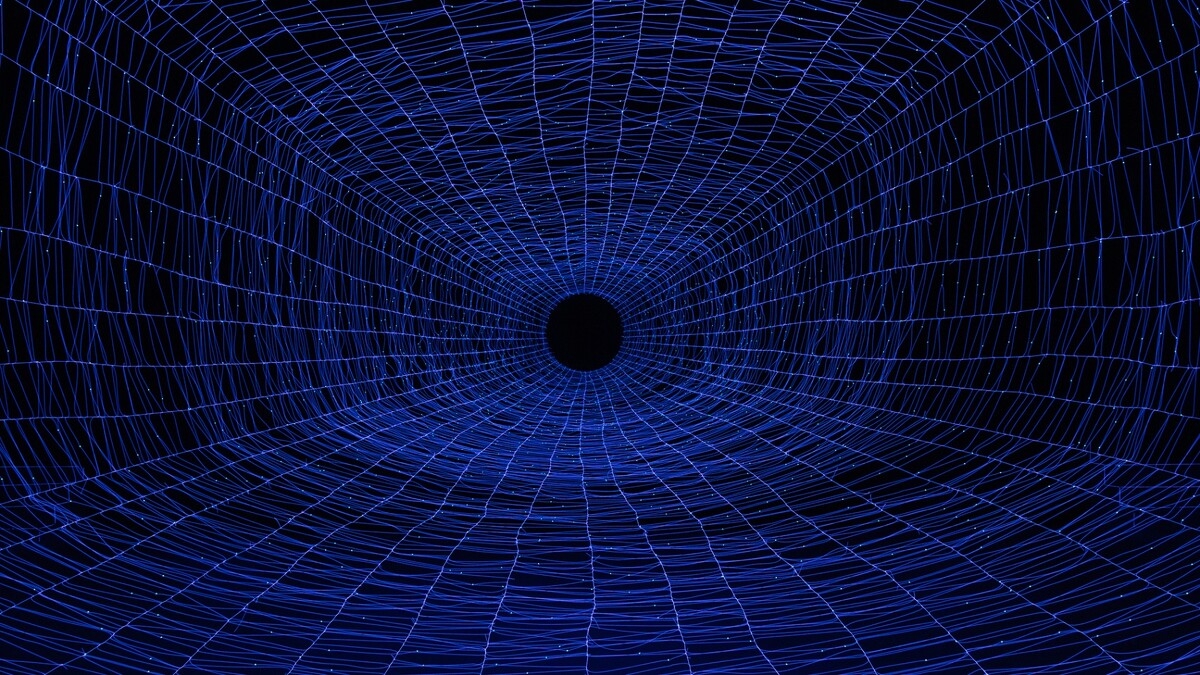 NA11_米谷健＋茱莉亞 Ken+Julia YONETANI《生命之網Web of Life》｜來源：Julia YONETANI