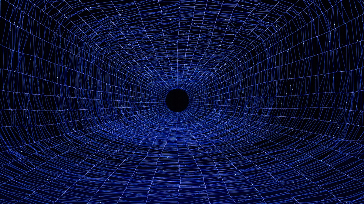 NA11_米谷健＋茱莉亞 Ken+Julia YONETANI《生命之網Web of Life》｜來源：Julia YONETANI