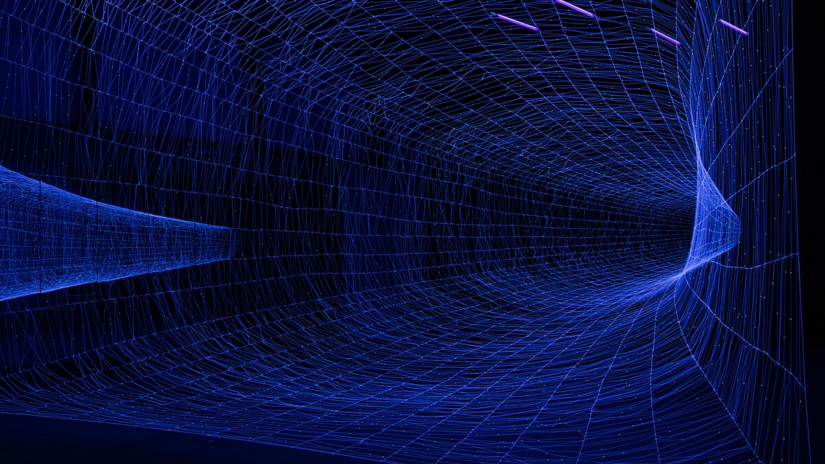 NA11_米谷健＋茱莉亞 Ken+Julia YONETANI《生命之網Web of Life》｜來源：Julia YONETANI