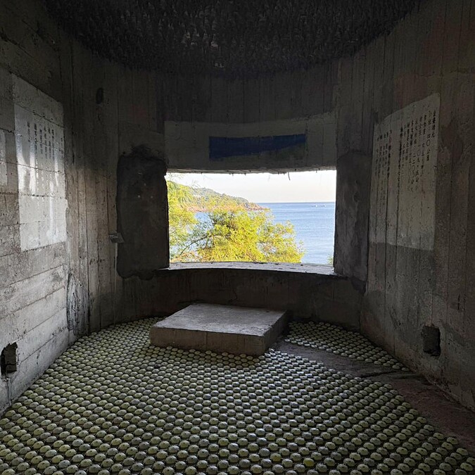 NA31_林銓居Lin Chuan-Chu《菊花五千朵 5000 Chrysanthemums》