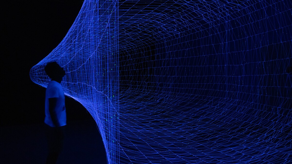 NA11_米谷健＋茱莉亞 Ken+Julia YONETANI《生命之網Web of Life》｜來源：Julia YONETANI