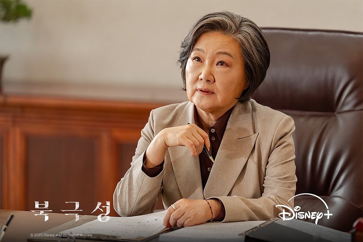 金海淑飾演蔡慶新。