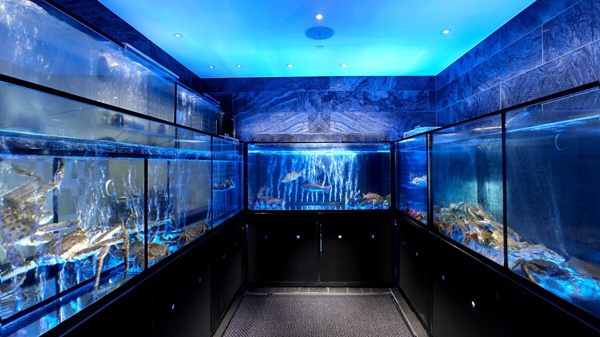 「但馬家涮涮鍋」3樓藍寶盒水族箱