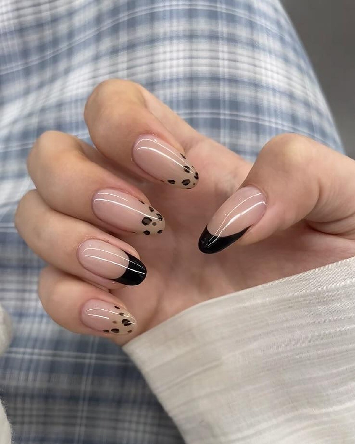 Photo/ 小紅書 @一只羊