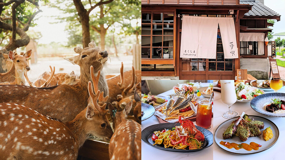 恆春三天兩夜玩樂攻略！6000坪梅花鹿樂園、百年日式咖啡廳，慢遊南國風情