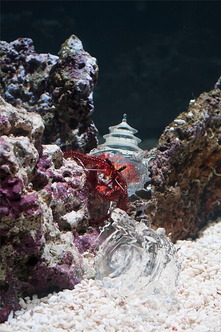 山展區場地｜Akira Inomata's artwork (Image courtesy of C)Nantes Metropole - Nantes Art Museum - Photograph