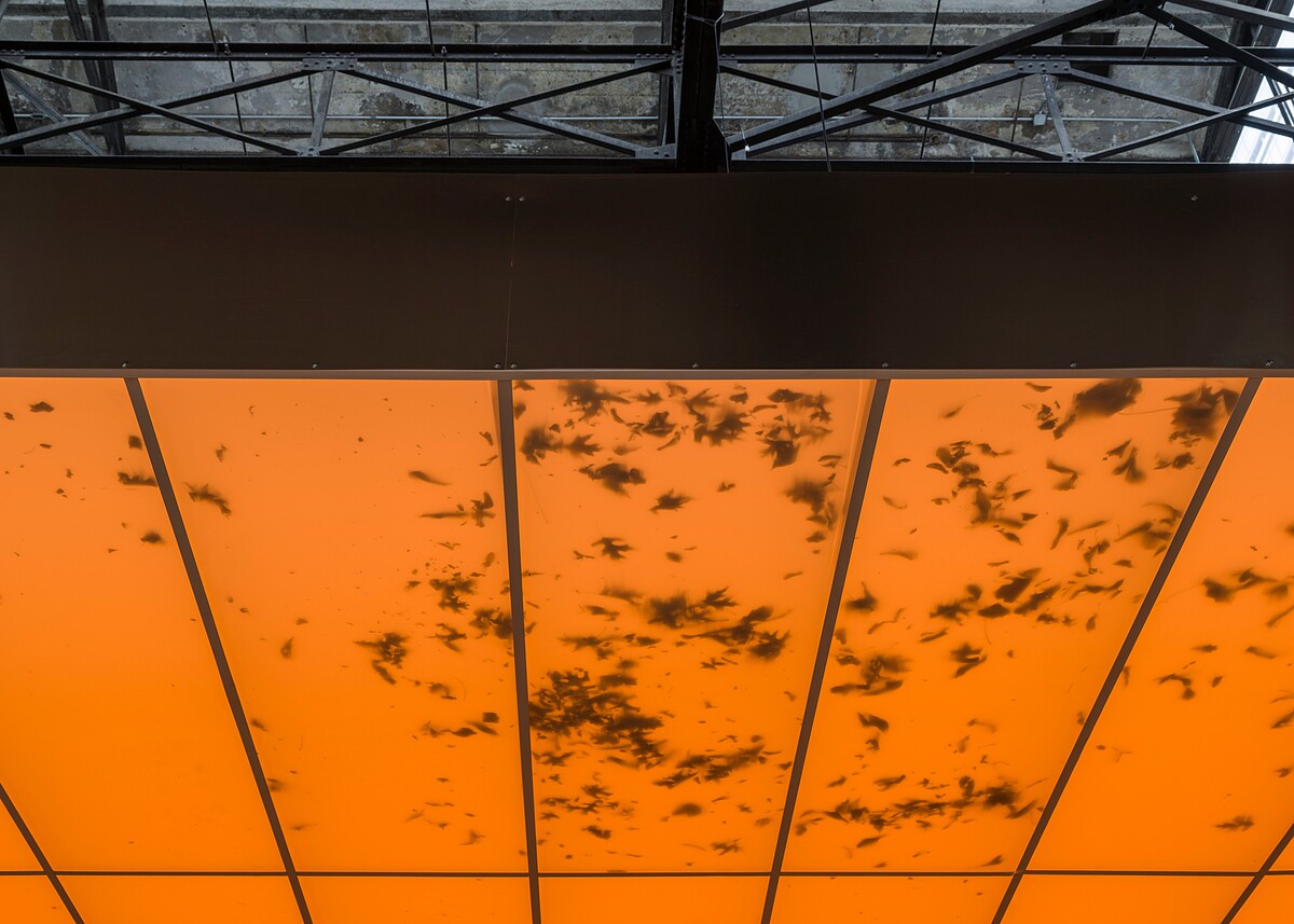 阿瓦羅・烏爾巴諾，《活畫》（裝置一隅），2024-25，紐約 Sculpture Center展覽現場。圖像由藝術家及紐約 SculptureCenter，ChertL&uuml;dde （柏林），Travesia Cuatro（馬德里、墨西哥城、瓜達拉哈拉）提供。攝影：Charles Benton。