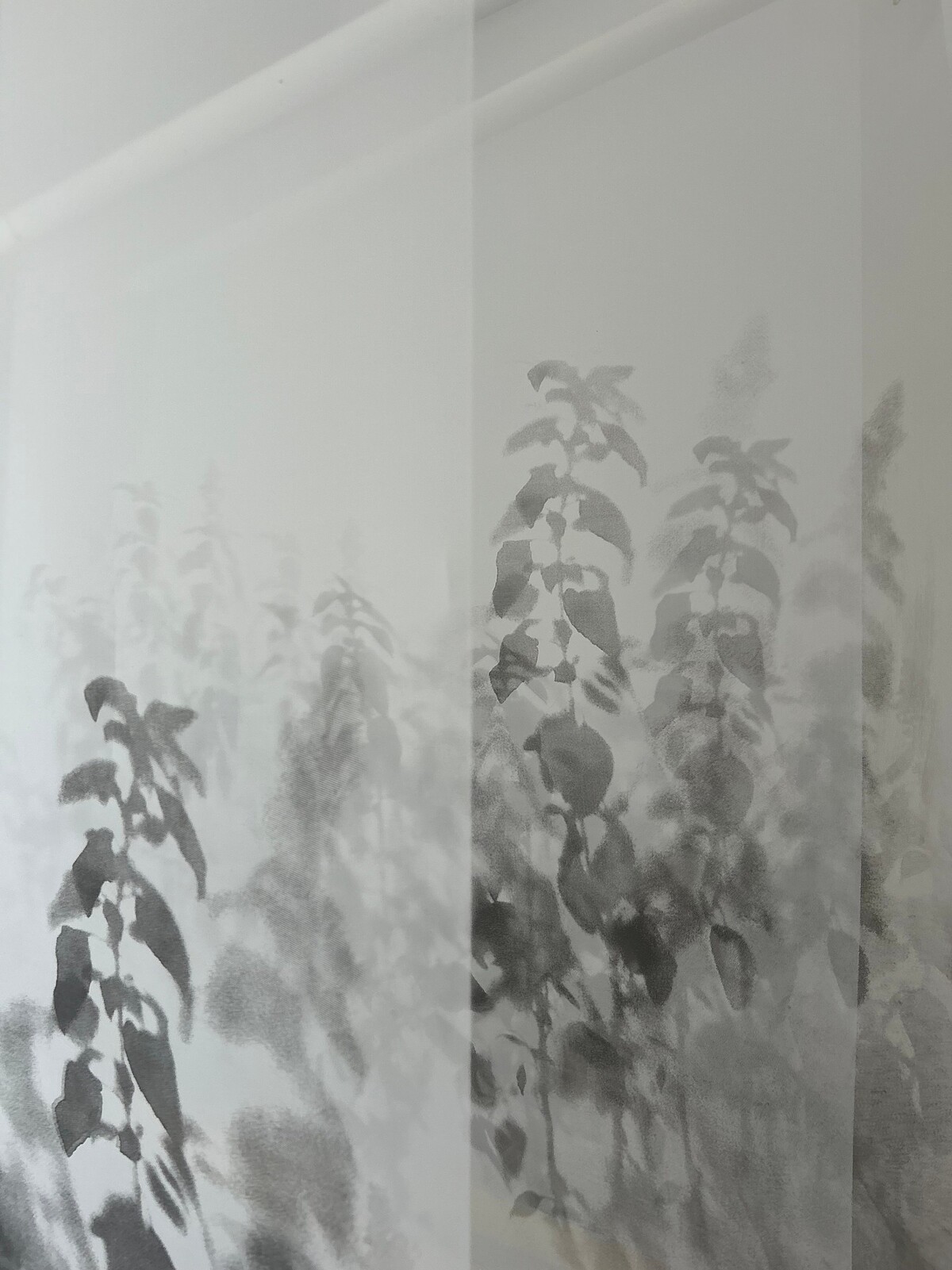 法特瑪・阿布杜哈迪，《留下的⋯⋯盡可能長存》，2025。絹印於透明網布、不鏽鋼懸吊結構、九層塔植栽，共18幅，每幅 400 x 90 公分。圖像由藝術家提供。