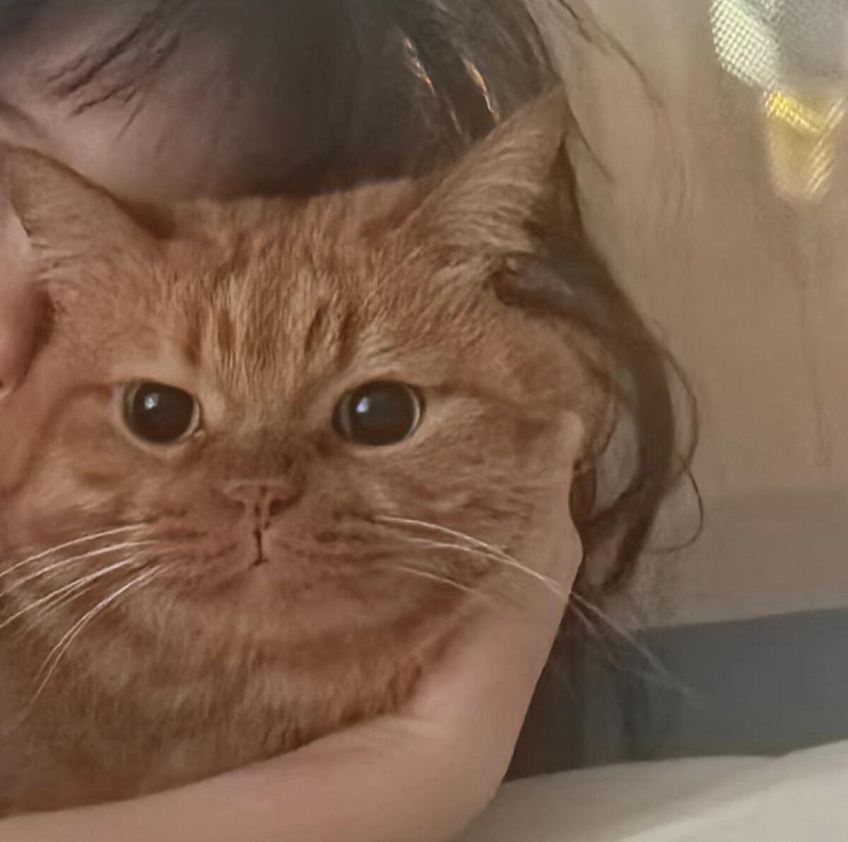 Photo/ 小紅書 @热依扎