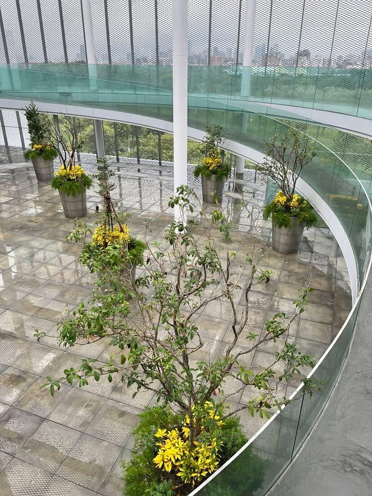 俯瞰文化之森｜Melody TU 採訪攝影