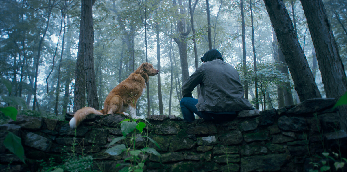 《乖狗狗》劇照