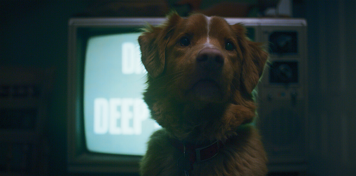 《乖狗狗》劇照