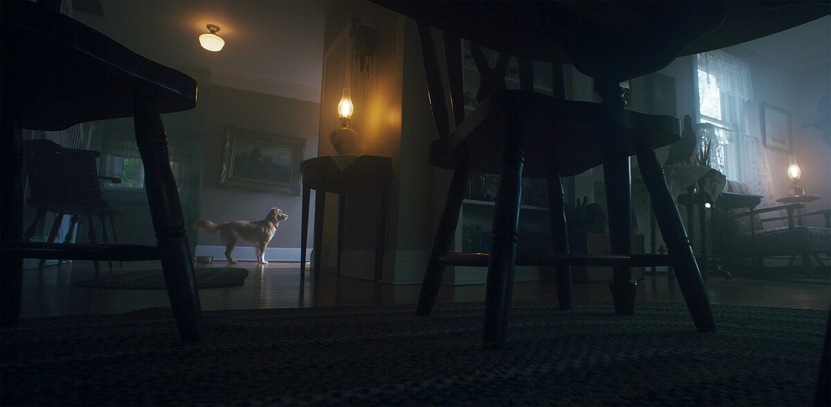 《乖狗狗》劇照