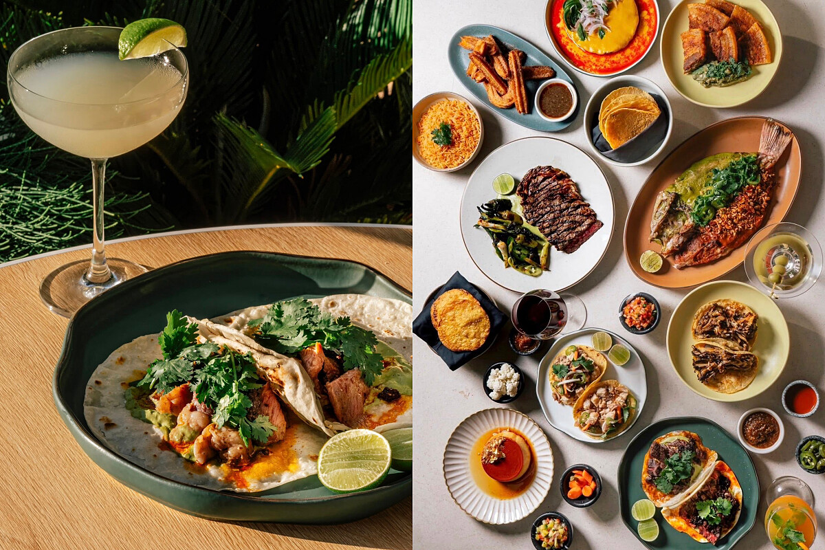 每道料理都放進當地特色，以及跨文化融合的樣貌。