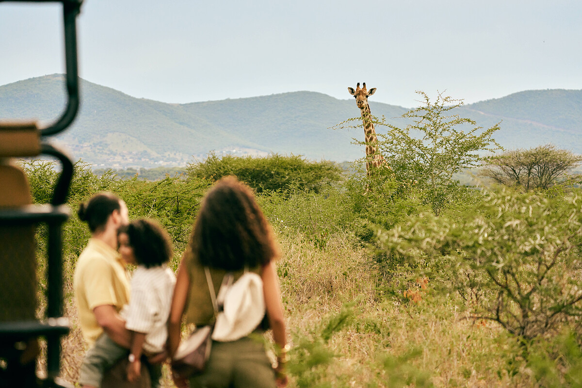 南非海岸獵遊度假村(Club Med South Africa Beach & Safari)概念圖