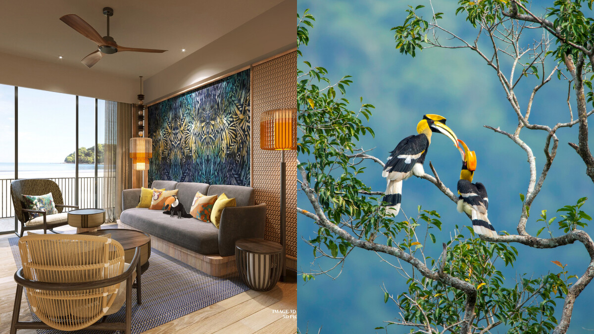 馬來西亞沙巴婆羅洲度假村(Club Med Borneo)概念圖