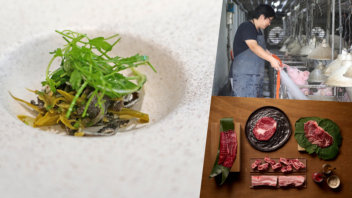 米其林一星「好嶼HOSU」攜手「農場晃晃」推台灣首創「后土牛」：採1500日飼育未生產母牛國產黑安格斯，同步發表中秋燒肉禮盒