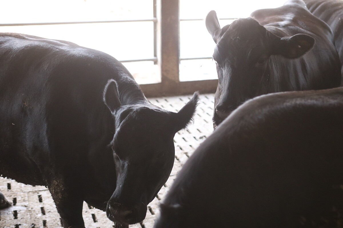 對於未來 Chef ian 希望從產業端、餐飲端到市場端都有清楚規範與價值。