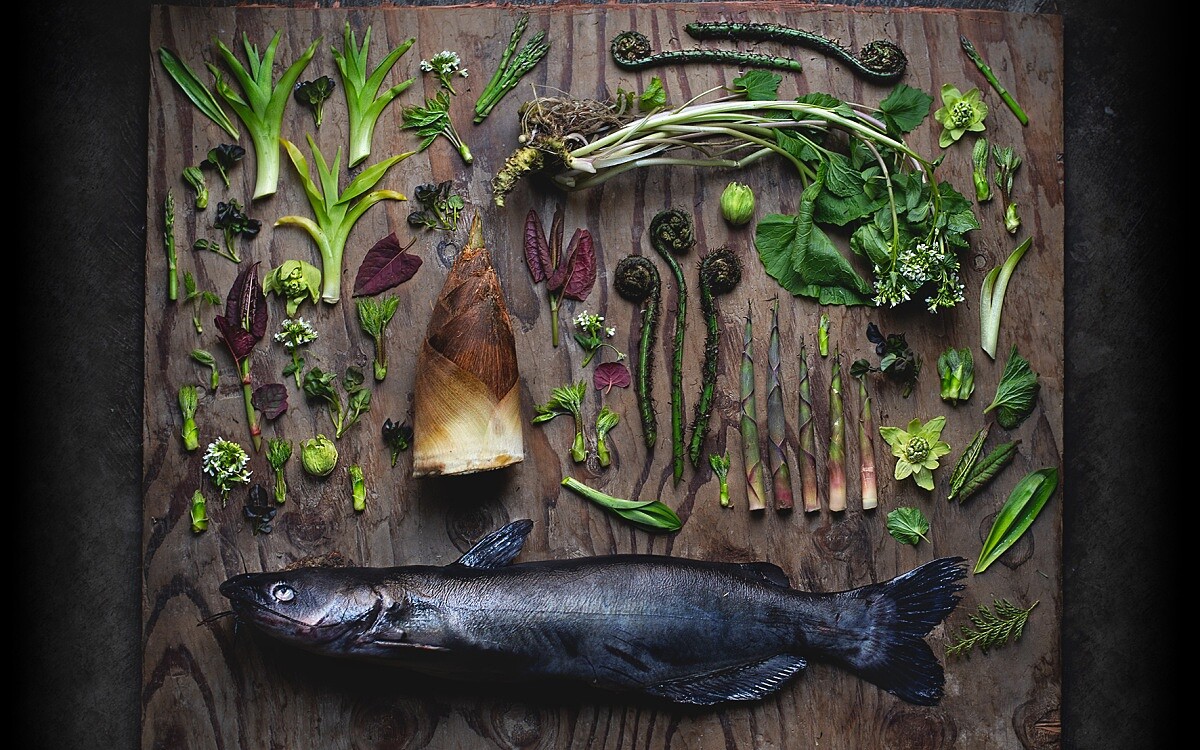 Chef Matteo 也將設計師與攝影師的視角融入餐飲。