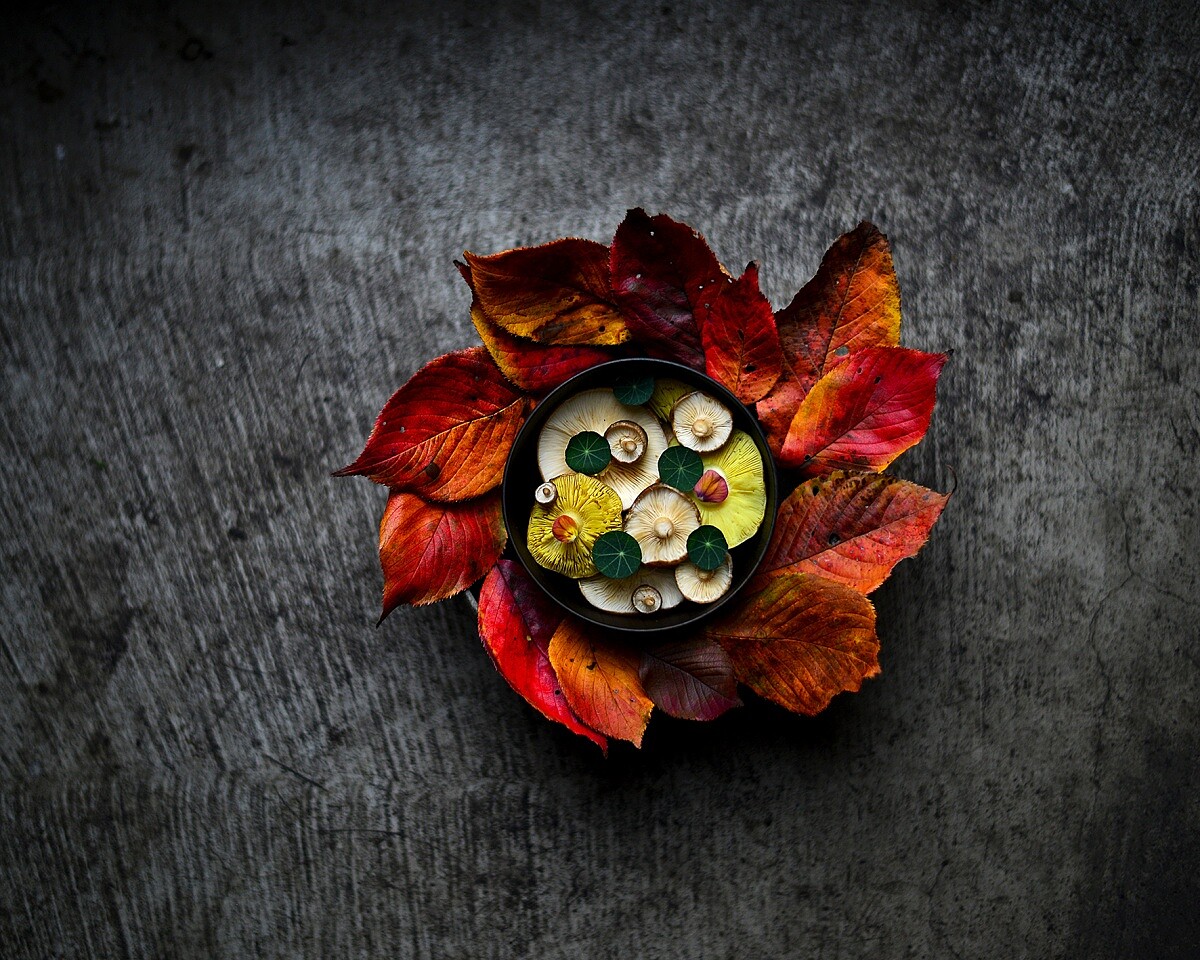 菜色將結合「ORIGO」 招牌料理與台灣食材。