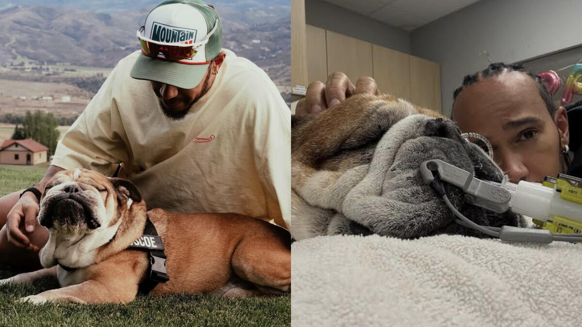 Lewis Hamilton愛犬Roscoe離世！IG發文悲痛告別：擁有他是我人生中最美好的部分