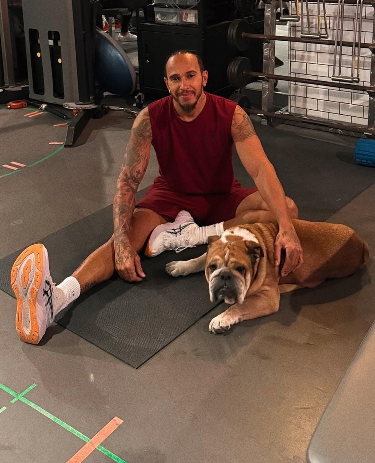 Lewis Hamilton 與愛犬 Roscoe