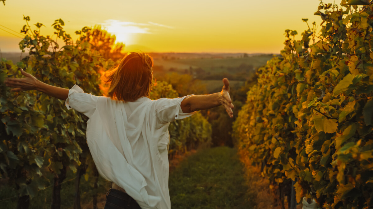 生命靈數｜4號人天生建造者卻被安全感困住，破解「永遠不夠好」的焦慮
