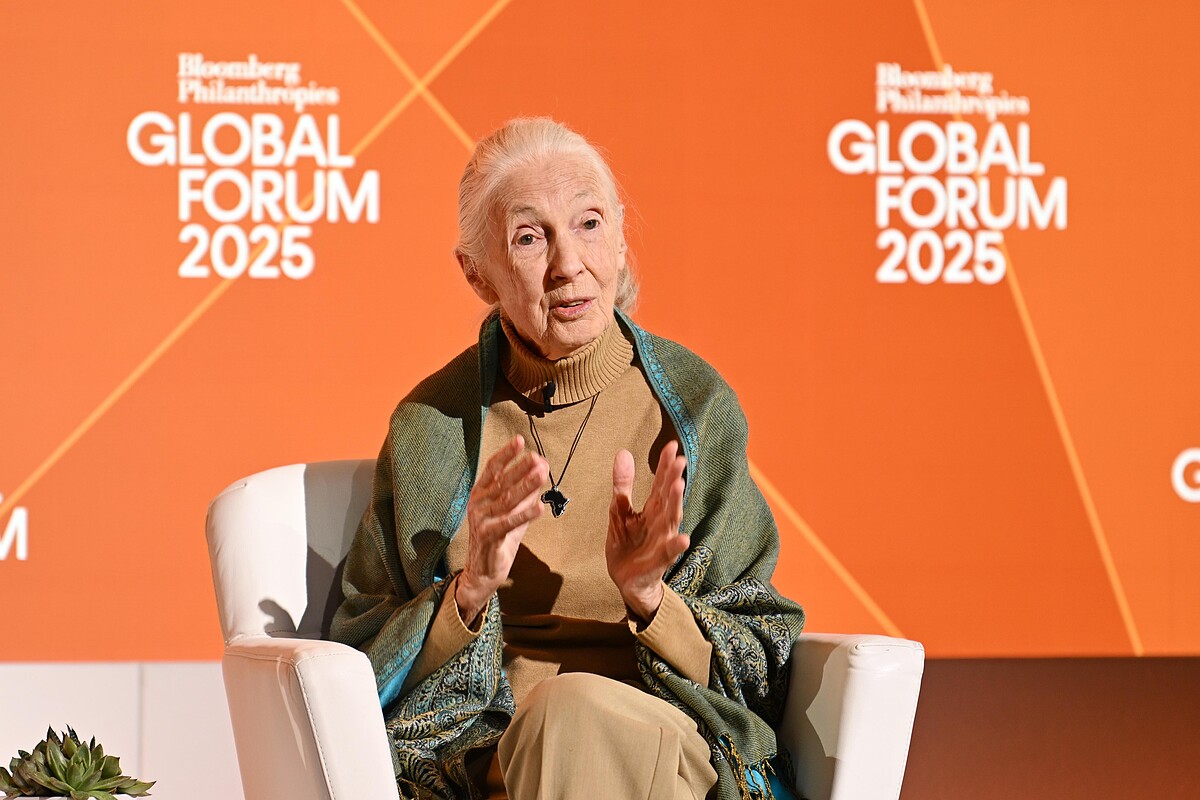 珍古德（Jane Goodall）