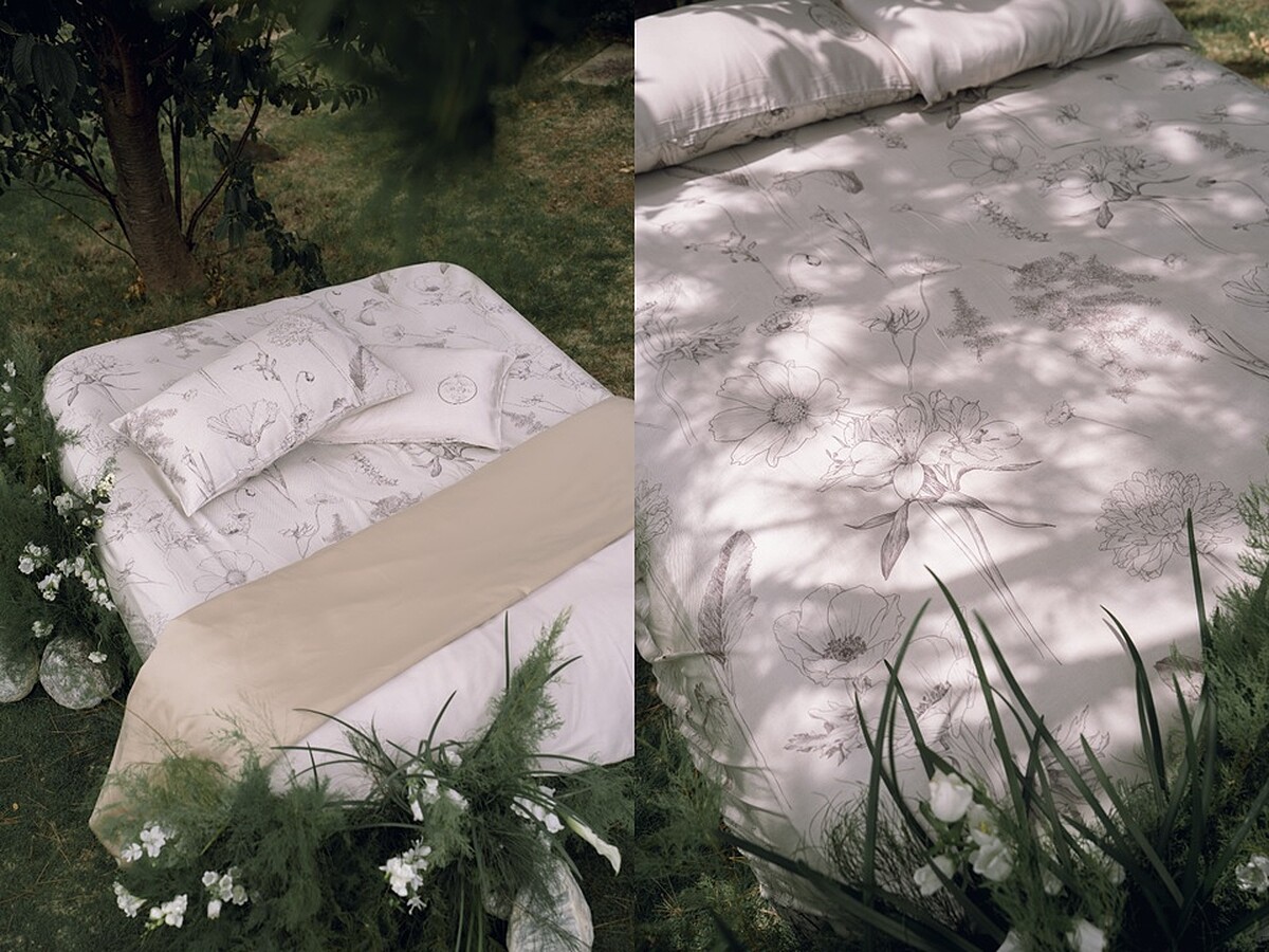 晨曦Dawn|100支天絲™