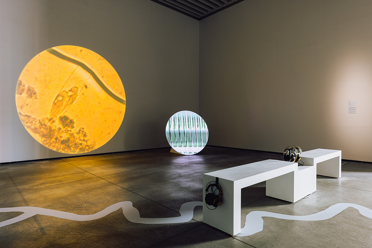 臺南400文化治理特展「我們從河而來」展出藝術家李欣芫作品〈Chí-Moāi 3〉。