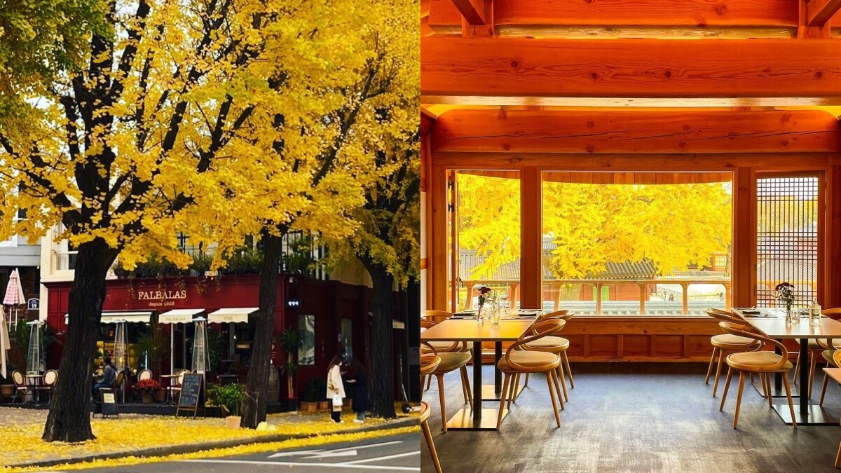 【Julia韓國觀察筆記】秋天必訪！首爾6家擁有絕美秋景的餐廳推薦，還有Rosé的愛店