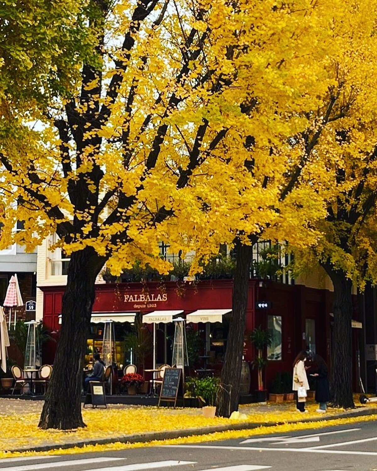 FALBALAS店面外觀(Photo/IG)。