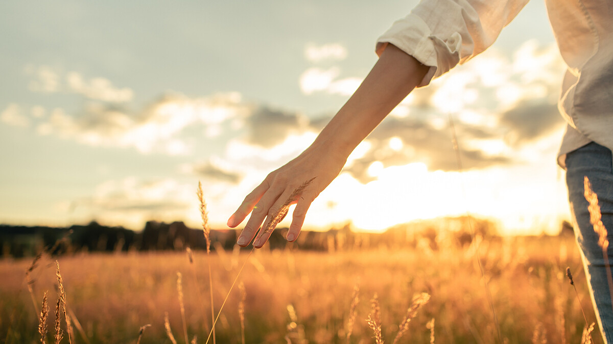 二十四節氣「寒露」來了！5大禁忌別踩雷，多吃芝麻、銀耳，保暖肩頸足部是關鍵