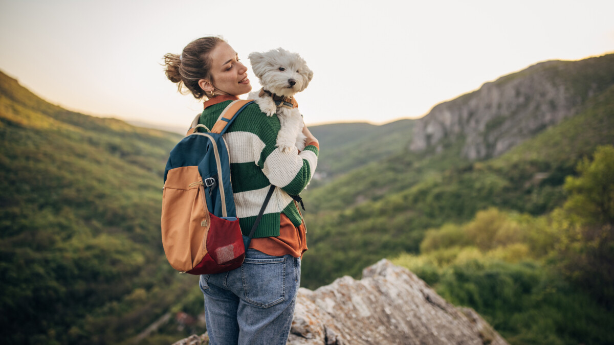 天使數字｜808是無限豐盛的密碼！財務、愛情與新循環指引一次接收