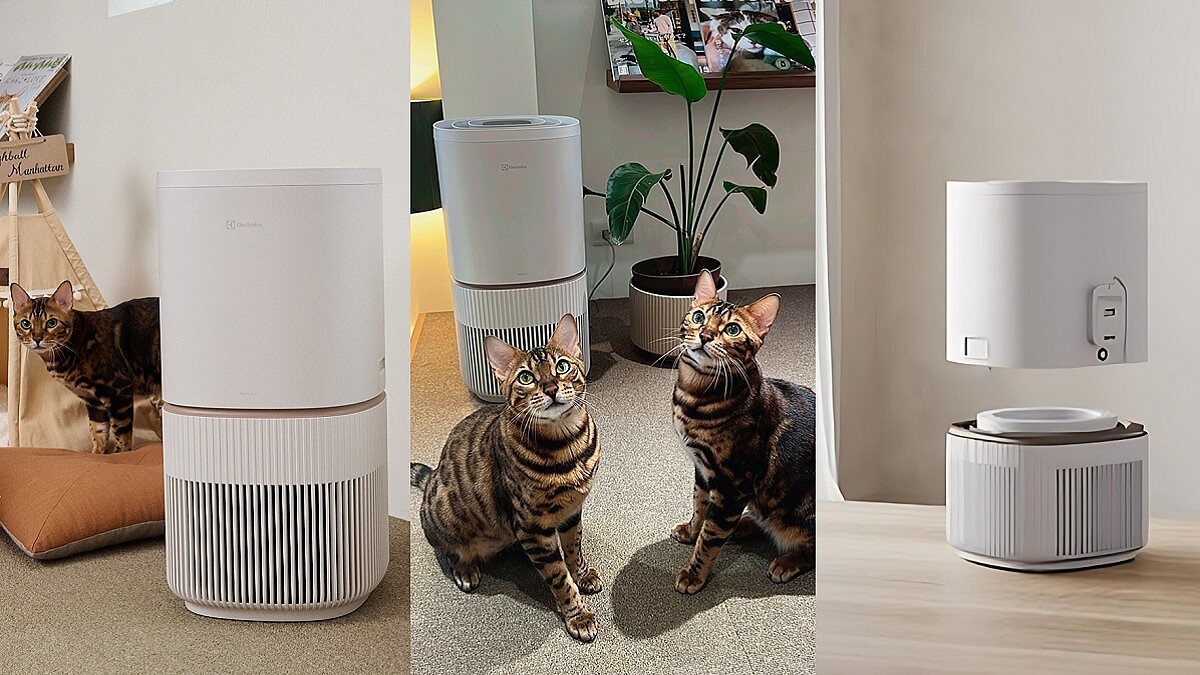 毛孩家庭的守護者，以科技守護純淨空氣，輕鬆解決解決毛髮、異味與過敏原困擾的伊萊克斯「極適家居 500 寵物抗敏空氣清淨機」，讓陪伴從容又安心！