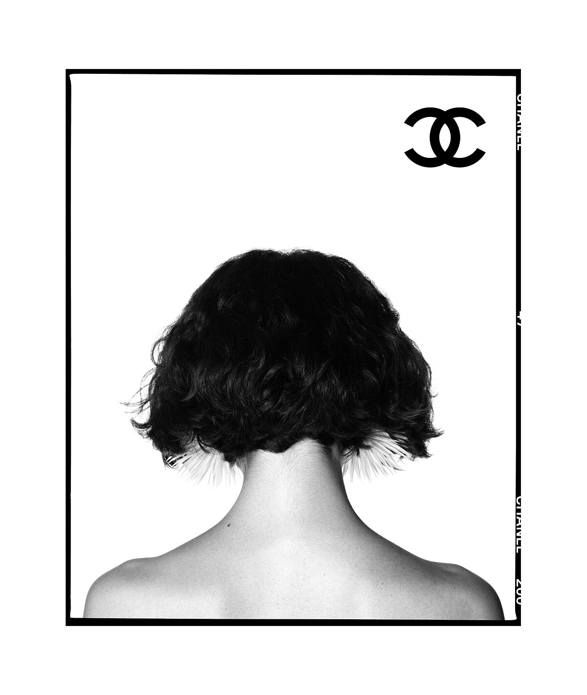 CHANELSpringSummerf前導廣告，Photograph by David Bailey &copy;。