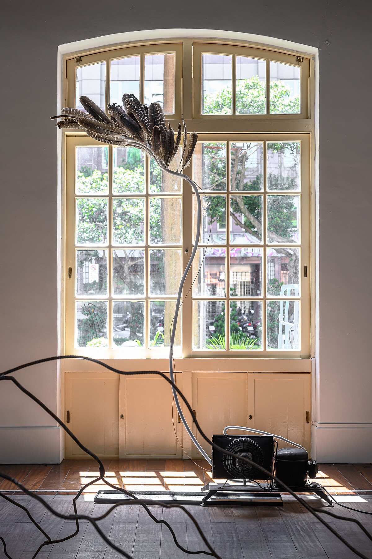 《冷凝》將冷氣銅管與羽毛並置，展現氣候變遷下冰冷與柔軟的對話。｜展出現場｜當代館提供