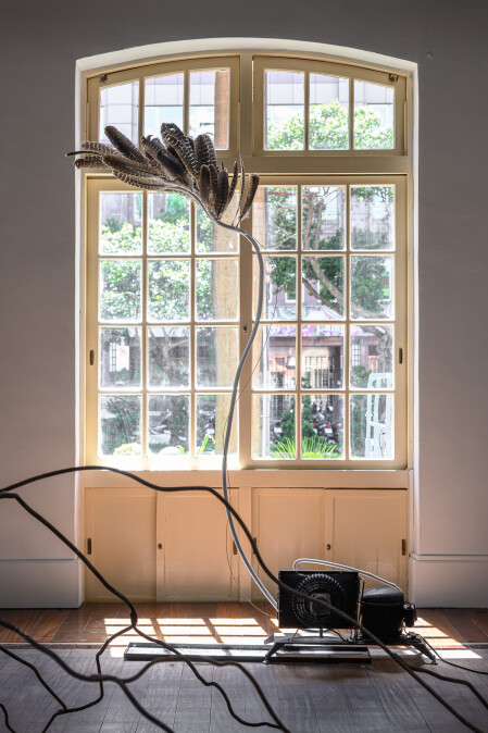 《冷凝》將冷氣銅管與羽毛並置，展現氣候變遷下冰冷與柔軟的對話。｜展出現場｜當代館提供