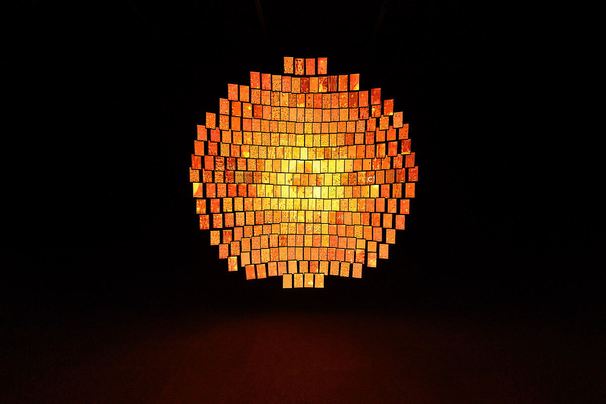 《日光域XI &ndash; 台北當代藝術館》｜當代館提供