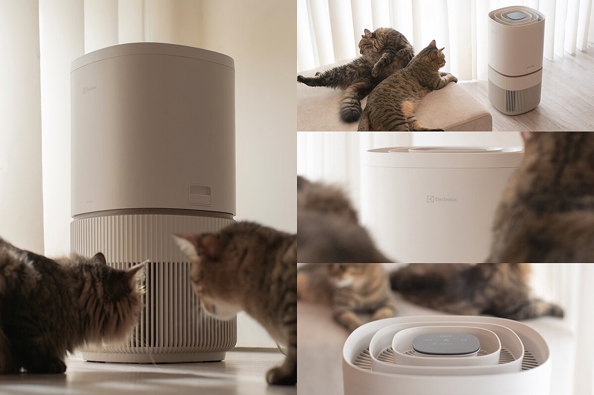 圖片提供：CHLIV