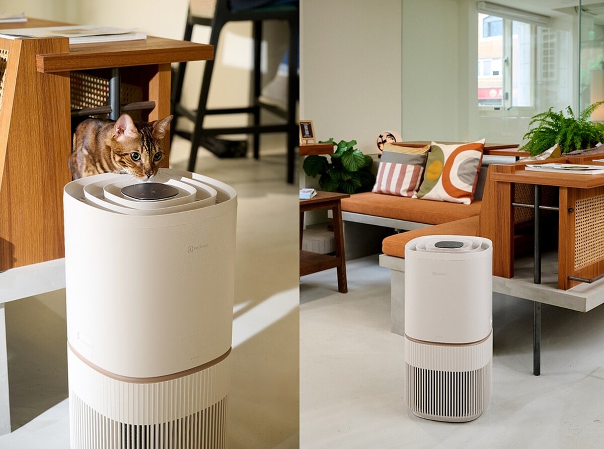 圖片提供：愛貓成癮CAT HOTEL & CAF&Eacute;