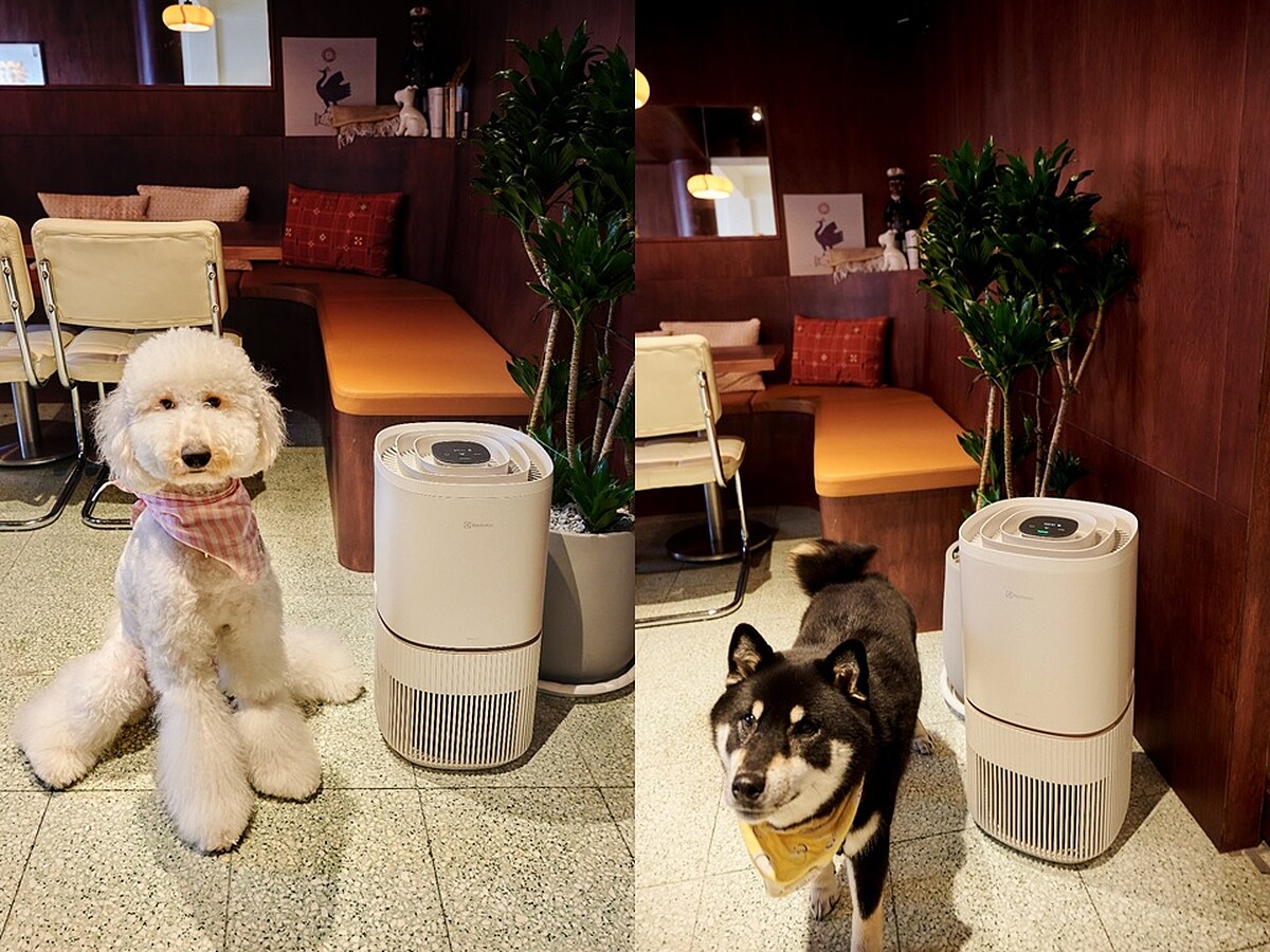 圖片提供:LOST and Found西門店