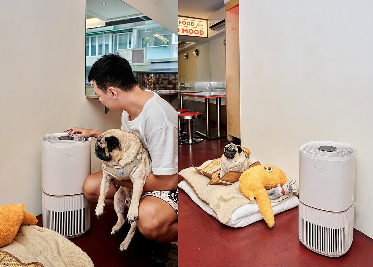 圖片提供:Three Pugs 三巴漢堡