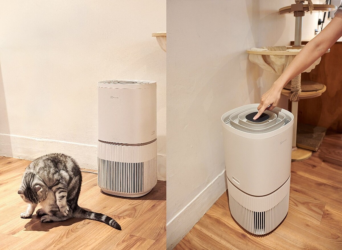 圖片提供：小春日和 動物雜貨‧珈琲