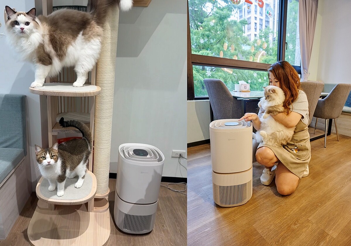 圖片提供：Paws caf&eacute;寵物友善餐廳