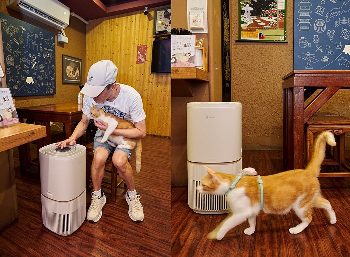 圖片提供：川島小米日式關東煮