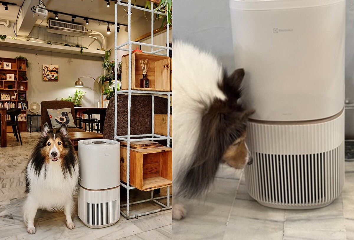 圖片提供:他。植物咖啡 He Coffee