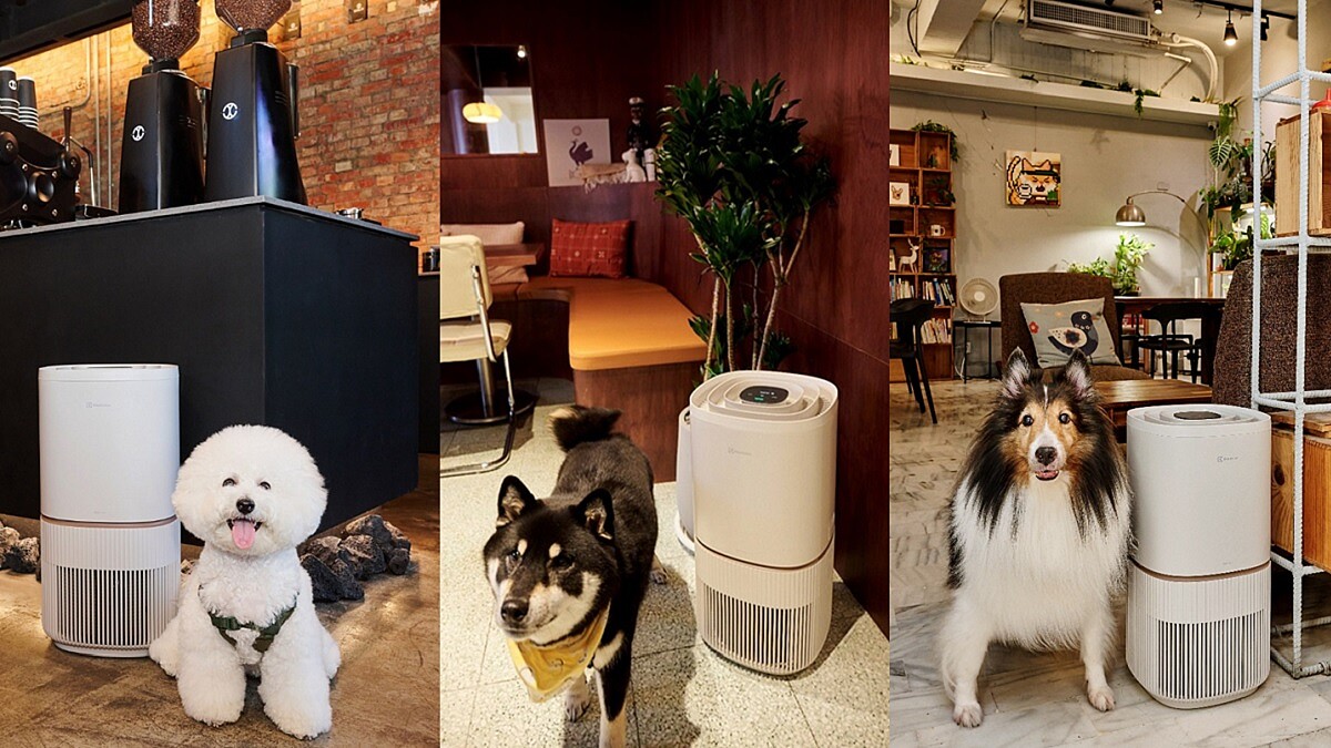 好想擼貓蹭狗，同時擁有清新好空氣！10間寵物友善店家不藏私分享，原來他們都用伊萊克斯「毛寵心淨機」，飛天毛、異味、過敏原通通吸光光～