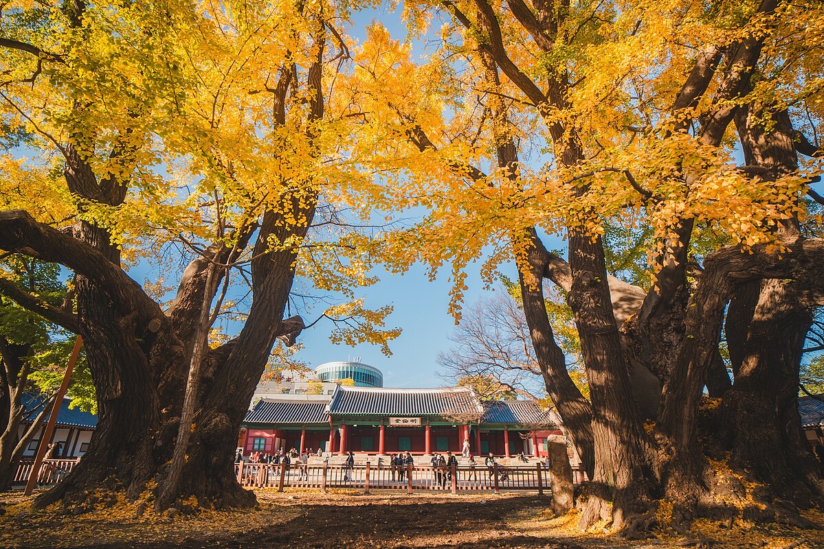 成均館明倫堂(Photo/首爾市政府FB)。